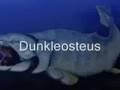 Under the Sea with prehistoric animals