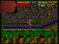 Castlevania - Wiimote + Nunchuk