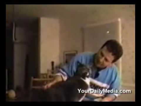 Πώς ψαρεύουν οι εξωγήινοι - FunnyStuff.gr