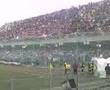 SALERNITANA  MASSESE