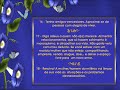24 Toques Para Ser Mais Feliz