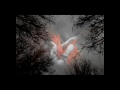 [video-image]