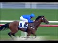 2007 Breeders cup promo 2