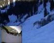 Speedriding @ draco-volans.com