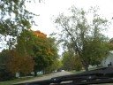 Fall colors in Lacon