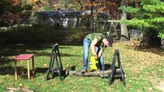 Ryobi 18V 10" Cordless Chainsaw P545 vs. Tree Branch