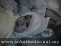 Return From Otherworld/ Kembali Dari Alam Barzakh