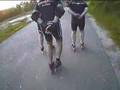Skeeler Training Zwanenburg