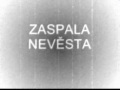 Zaspala nevěsta - České lidové písně