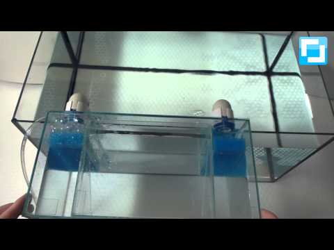 Kombination Ablaichkasten und Aufzuchtkasten