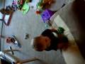 Primeros pasos de Max - First steps