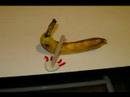 Banna Ride - a very short stop motion adventure Banna Ride - a very short stop motion adventure