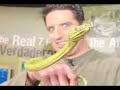 Me, G'mork (emerald tree boa), Maeve...