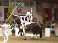 Neuss no Dvm 2007