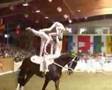 Neuss no Dvm 2007