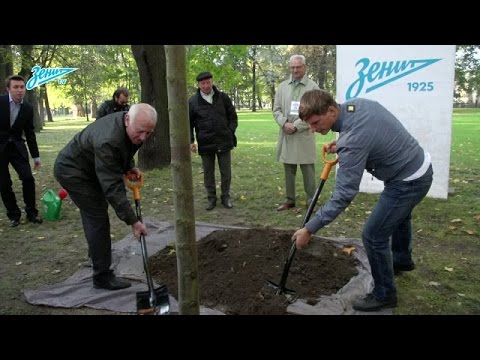 Андрей Аршавин и ветераны клуба посадили дерево в Михайловском саду Андрей Аршавин и ветераны клуба посадили дерево в Михайловском саду