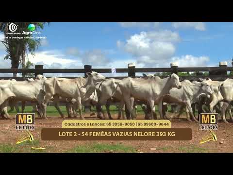 527� LEIL�O VIRTUAL MB LEIL�ES