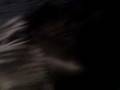 videos de Metal - timbre de voice