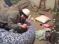 Shake the Booty