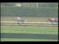 1993  Molly   Pitcher  Handicap - Wilderness Song
