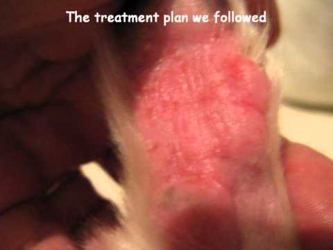 how to relieve grass rash