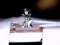 Proteus 250 um x 1 mm micromotor Proteus 250 um x 1 mm micromotor