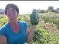 Conservation Farming and Sustainability, Missoula, Montana