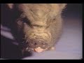 Roger Waters - Amused to Death - EPK Roger Waters - Amused to Death - EPK
