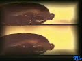 Video screenshot