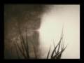 Forest Noise