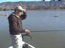 clear lake fishing trip