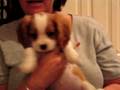 videos de Luke's first day home