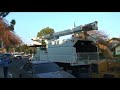 cat-jumps-60-feet-out-of-a-tree-without-a-broken-bone.html