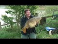 Blackhorse Common Carp Blackhorse Common Carp