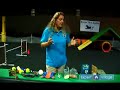 Agility Training for Dogs : Use Positive Reinforcement During Dog Agility Training