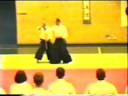 Aihanmi sankyo Shoji Nishio Sensei Copenhagen 1993