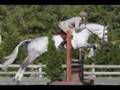 Stallions Cotopaxi and Raffaello JUMP