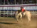 LOS TAURINOS MONTA TOROS COSTA RICA FINAL 2005 CAMARON LOS TAURINOS MONTA TOROS COSTA RICA FINAL 2005 CAMARON