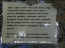 River Trail Nature Center Grand Re-Opening & 50th Anniv.