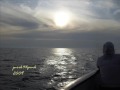 Old Danish tango: 'A Sunset' and a trip to Bornholm island !