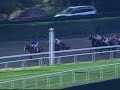 Jerome Stakes - Discreet Cat