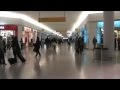 Airport Adventures