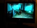 Overlord Blue Hive Walkthrough Pt. 2