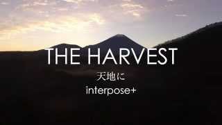 interpose+   天地に