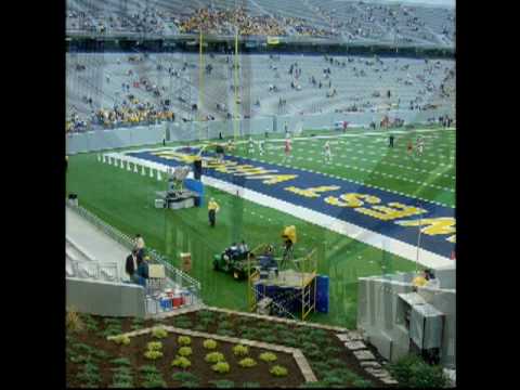 Saturdays in Morgantown