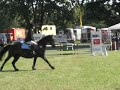 Dancer 2009 zepernick