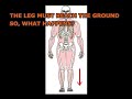 Ilium Upslip