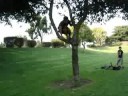 Sean Valle