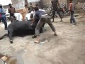 Qurbani at anarkali 2011 part 1