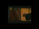 awsome video from nat geo about ninjitsu, anatomy, and the famous 